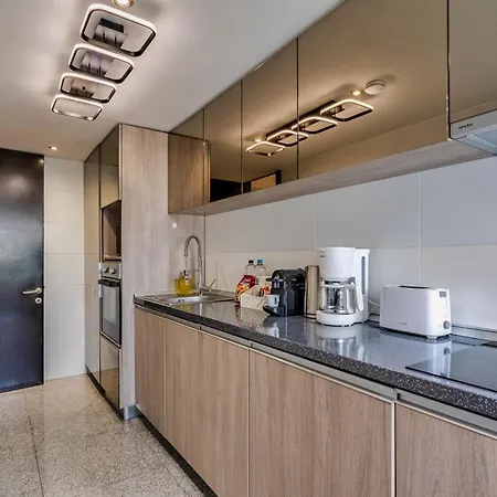 Luxury - Free Parking - 24h Security - Herastrau Park Bucharest
