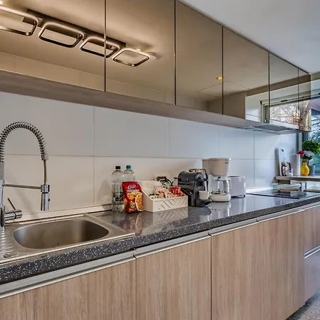 Luxury - Free Parking - 24h Security - Herastrau Park Apartment *